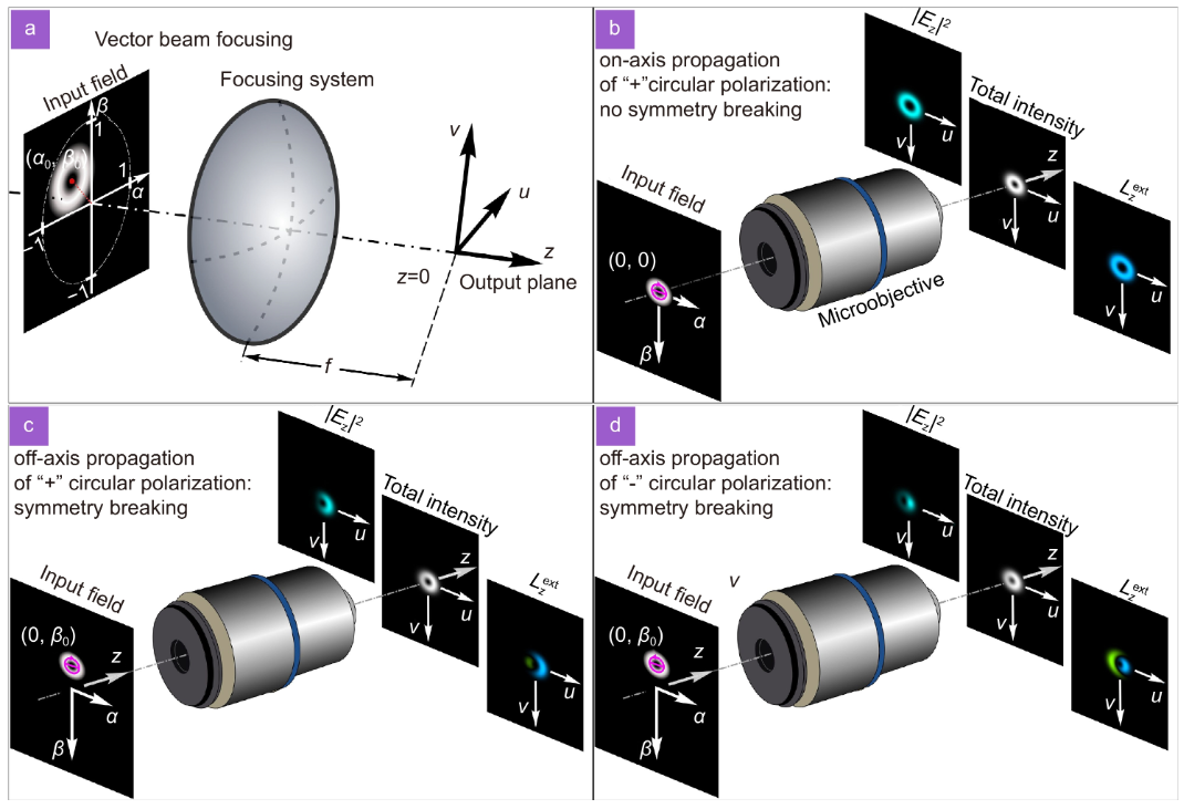 Vectorial spin-orbital Hall effect of light upon tight focusing and its experimental observation in azopolymer films_4