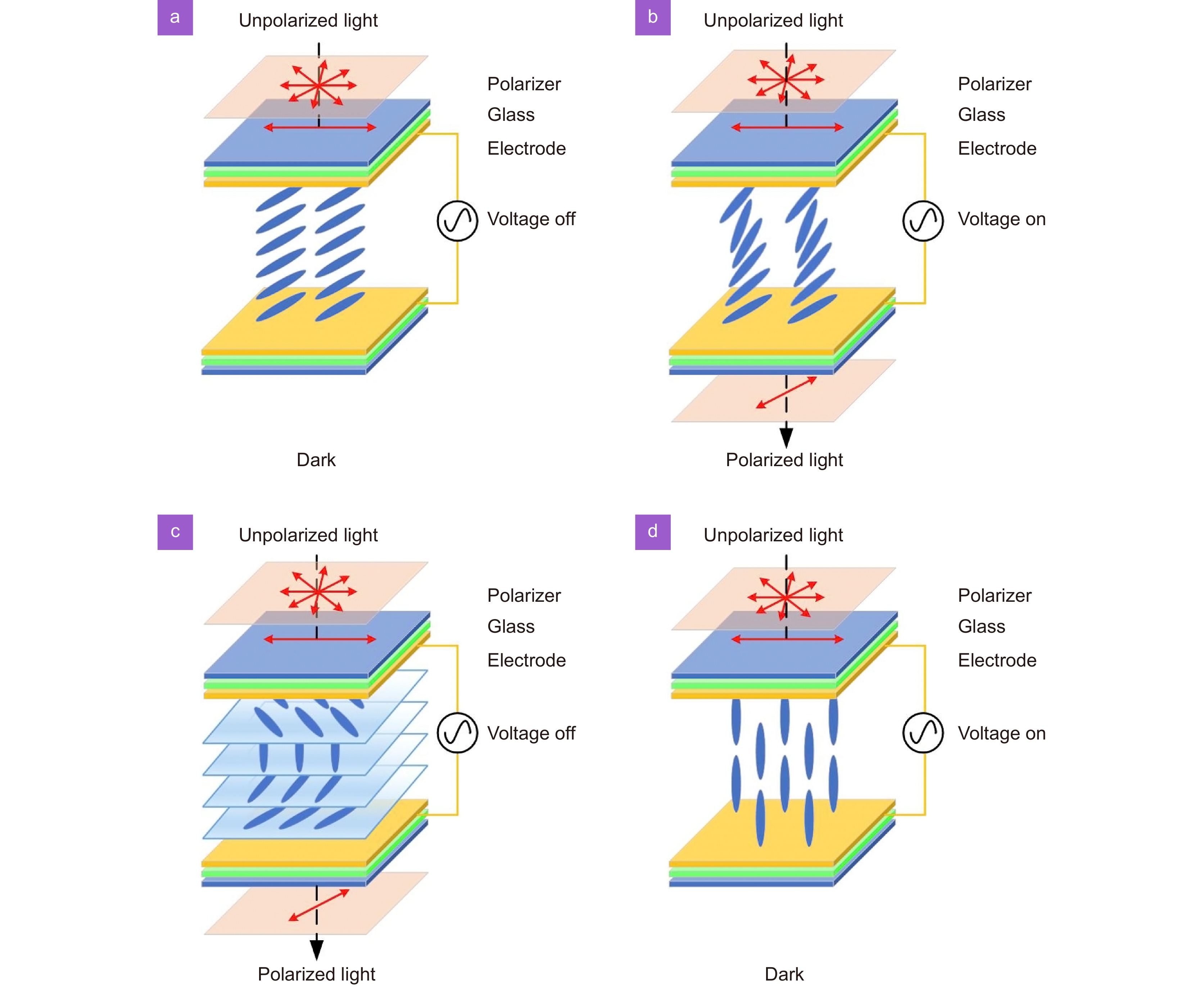 A review of liquid crystal spatial light modulators: devices and applications_3
