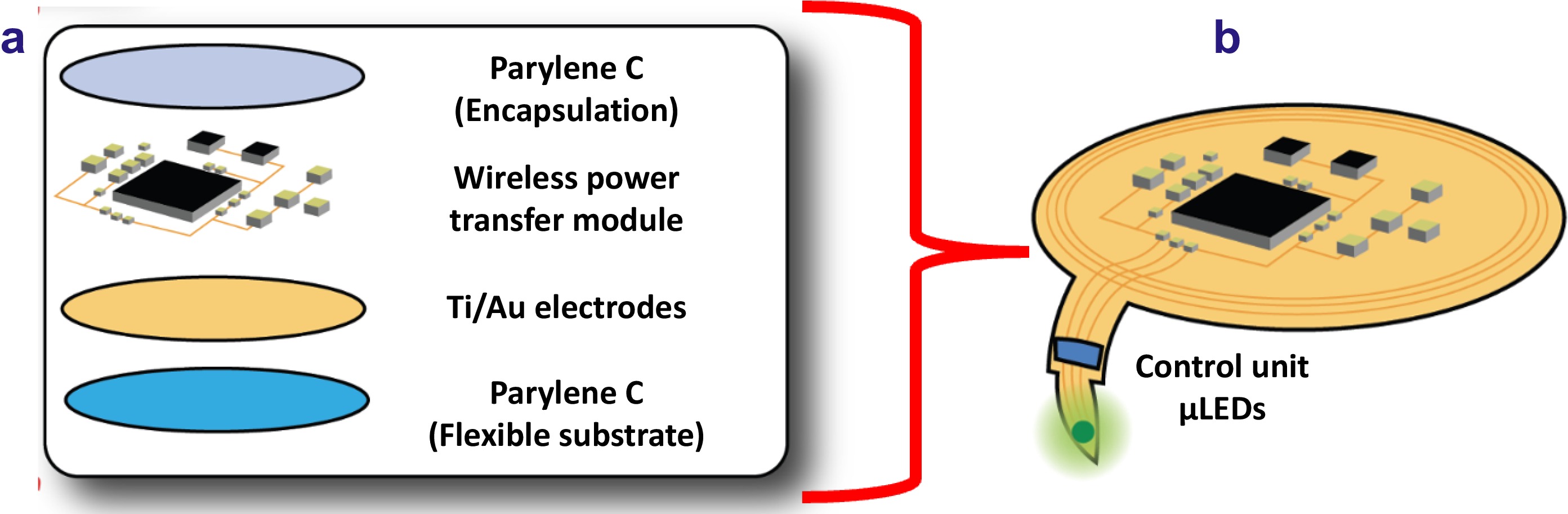 A flexible wireless system for prospective photodynamic therapy applications_4