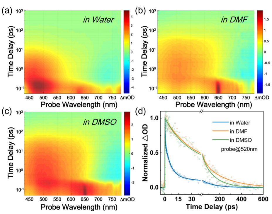 Direct Observation of Electron-Vibration Coupling at MXene-Solvent Interface_3