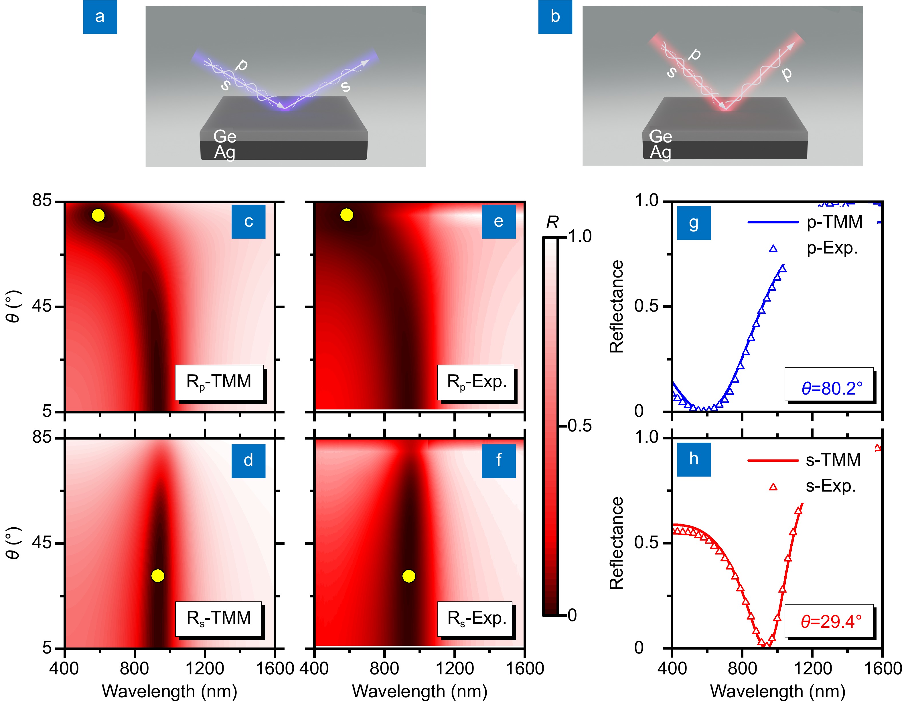 Double topological phase singularities in highly absorbing ultra-thin film structures for ultrasensitive humidity sensing_4