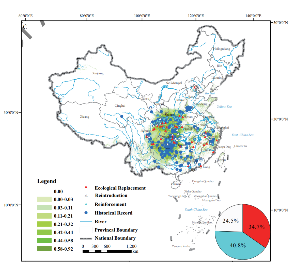 Disordered Translocation is Hastening Local Extinction of the Chinese Giant Salamander_4