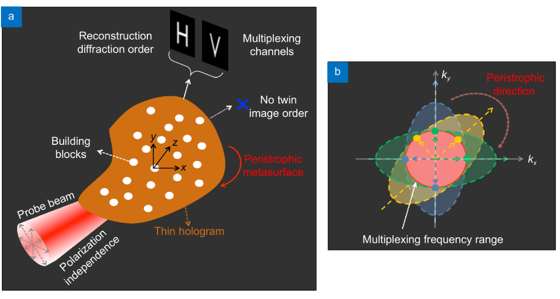 Planar peristrophic multiplexing metasurfaces_3