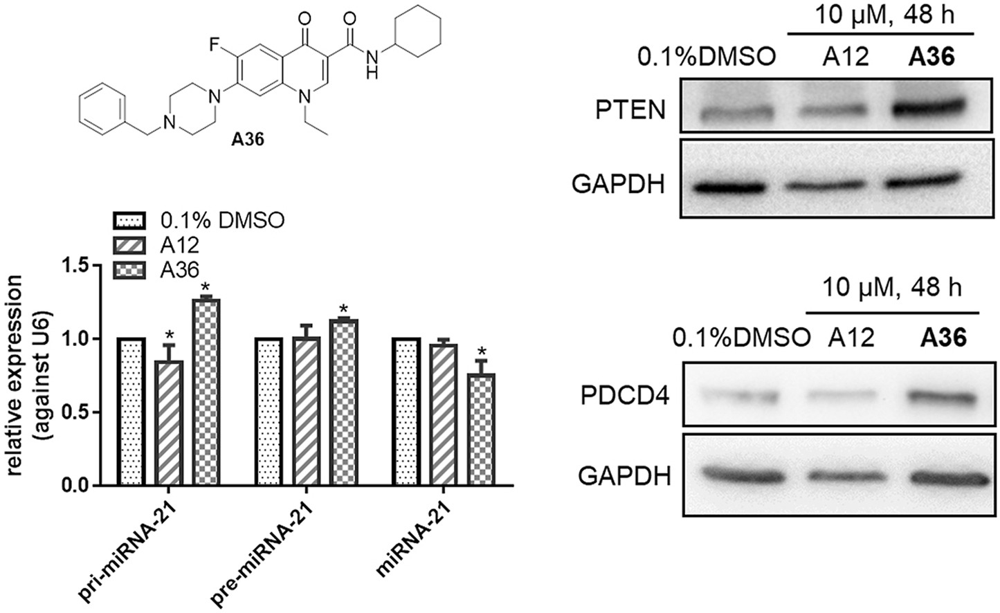 Design, synthesis, and evaluation of fluoroquinolone derivatives as MicroRNA-21 small-molecule inhibitors_4