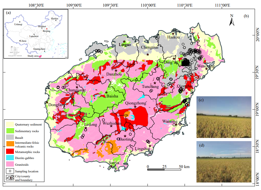 Effects and mechanism of igneous rock on selenium in the tropical soil-rice system in Hainan Province, South China_4