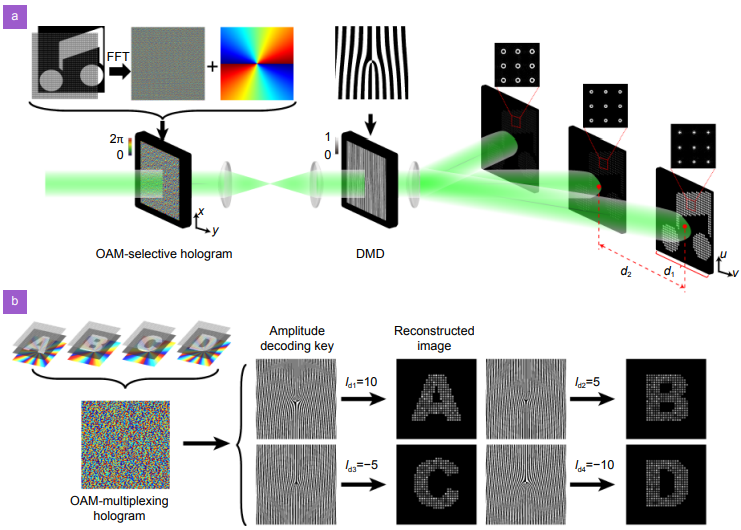 100 Hertz frame-rate switching three-dimensional orbital angular momentum multiplexing holography via cross convolution_4