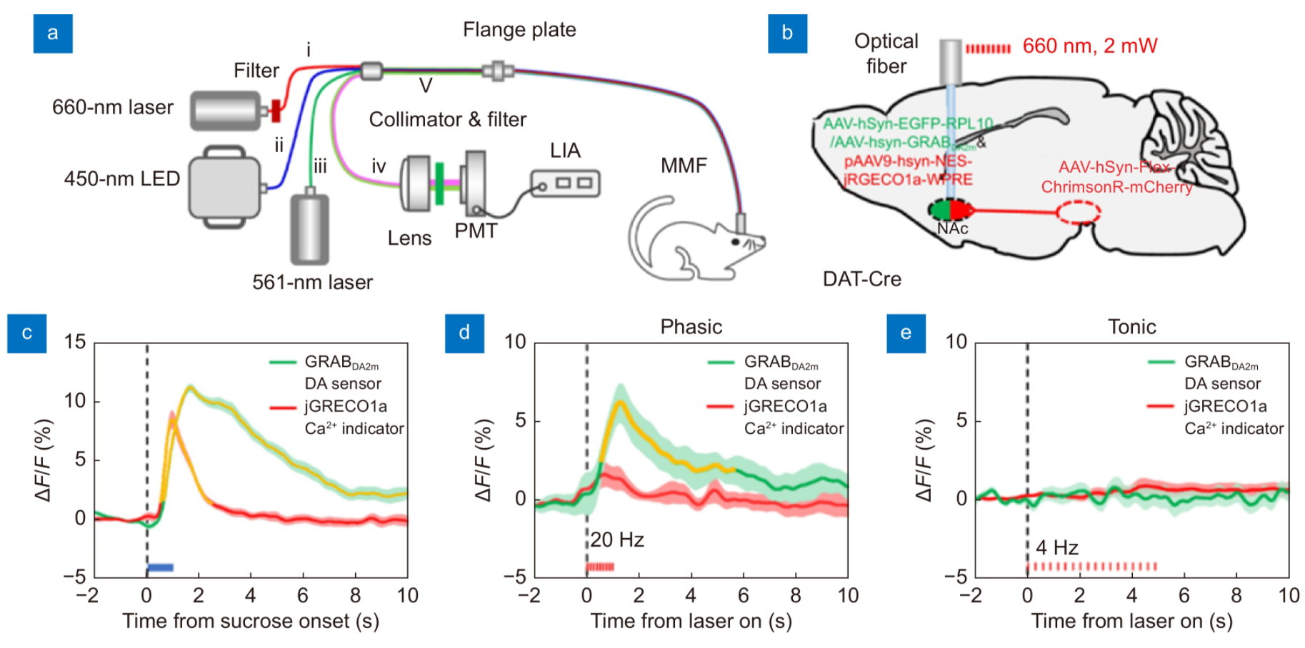 Novel all-fiber-optic technology for control and multi-color probing of neural circuits in freely-moving animals_3