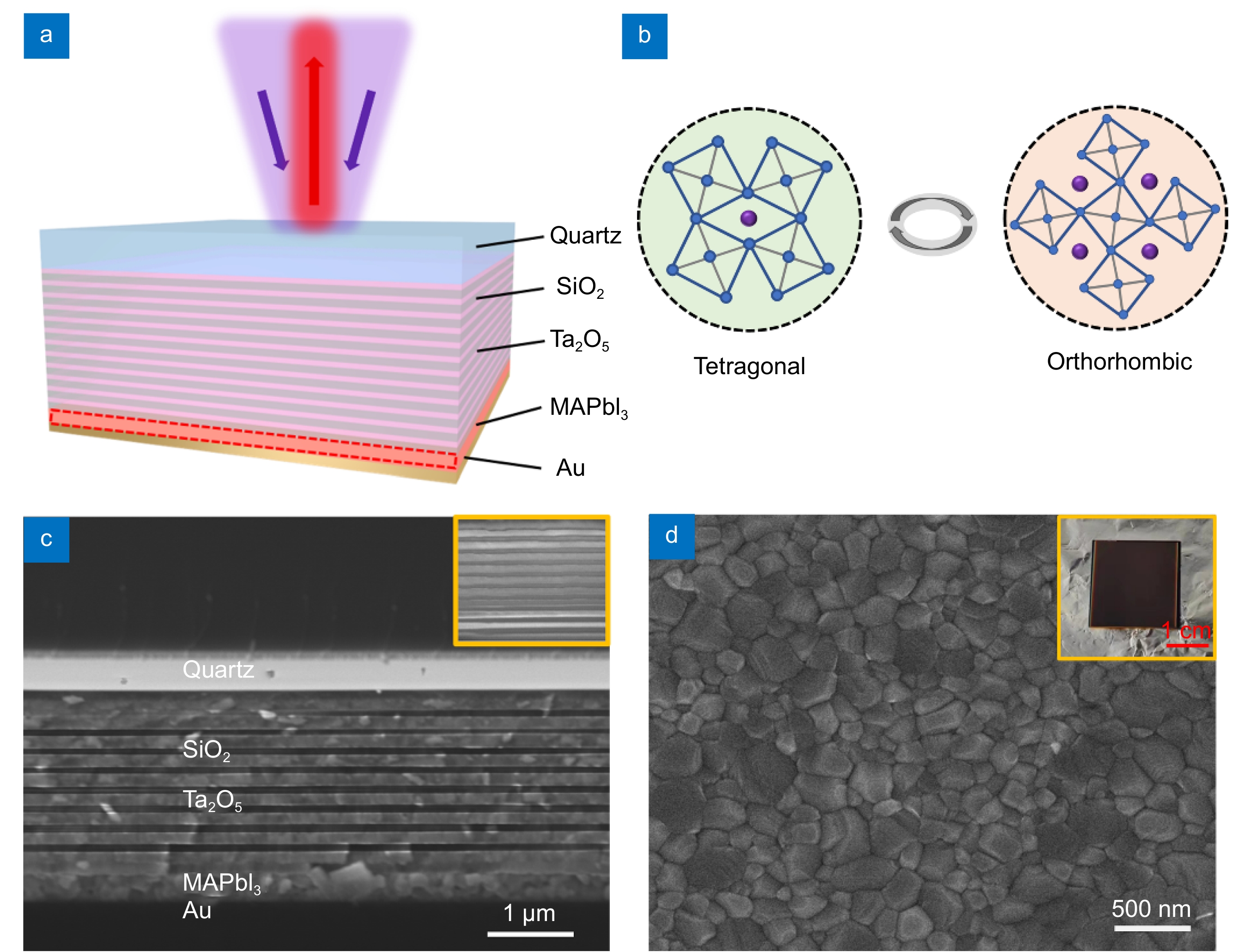 Tunable vertical cavity microlasers based on MAPbI₃ phase change perovskite_4