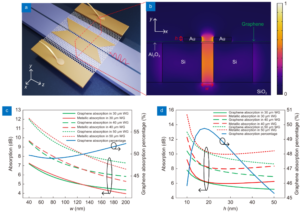 Graphene photodetector employing double slot structure with enhanced responsivity and large bandwidth_4