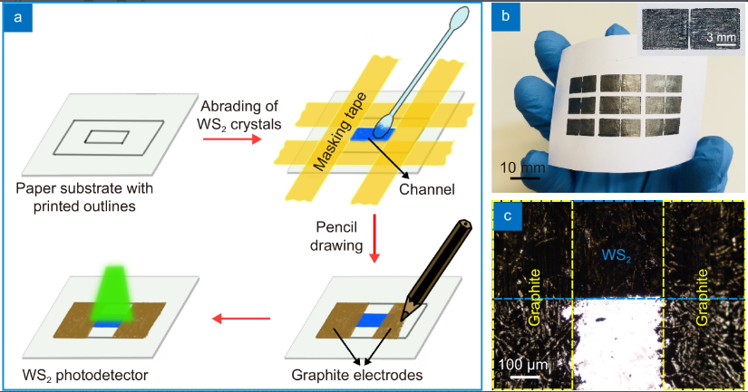 Solvent-free fabrication of broadband WS₂ photodetectors on paper_3