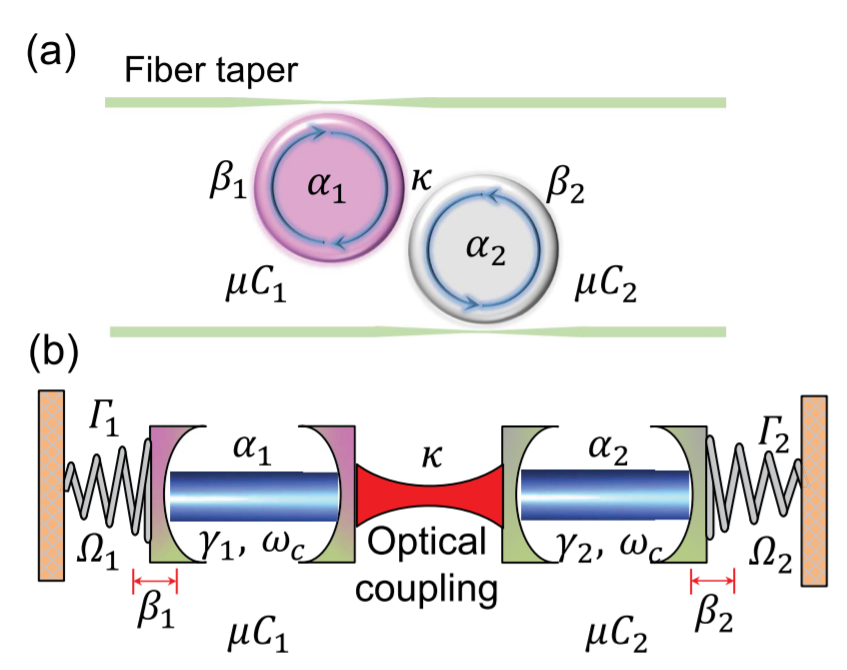 Synchronization in PT-symmetric optomechanical resonators_3