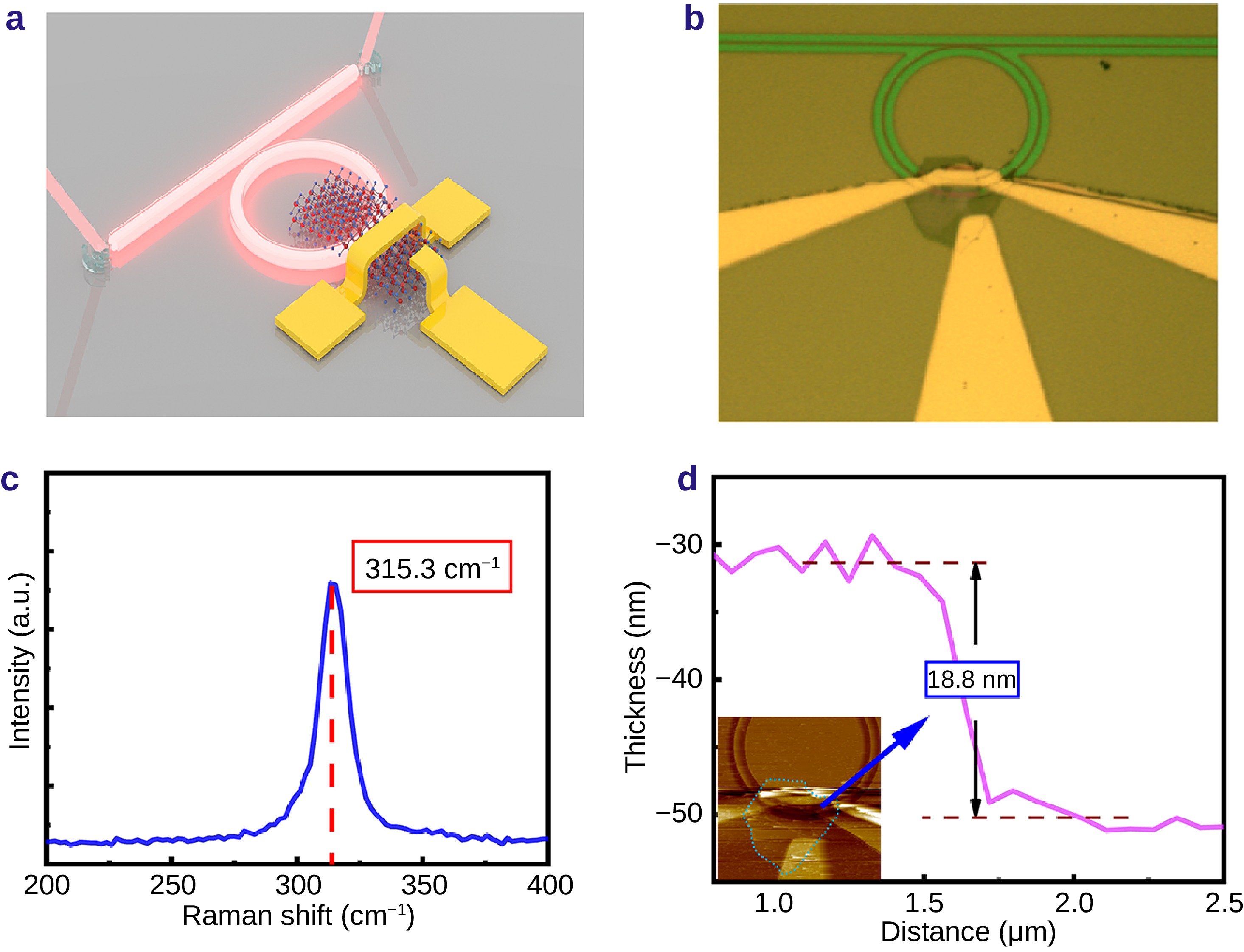 Heterogeneously integrated micro-ring with SnS₂ for dual-functional optical modulation and photodetection_4