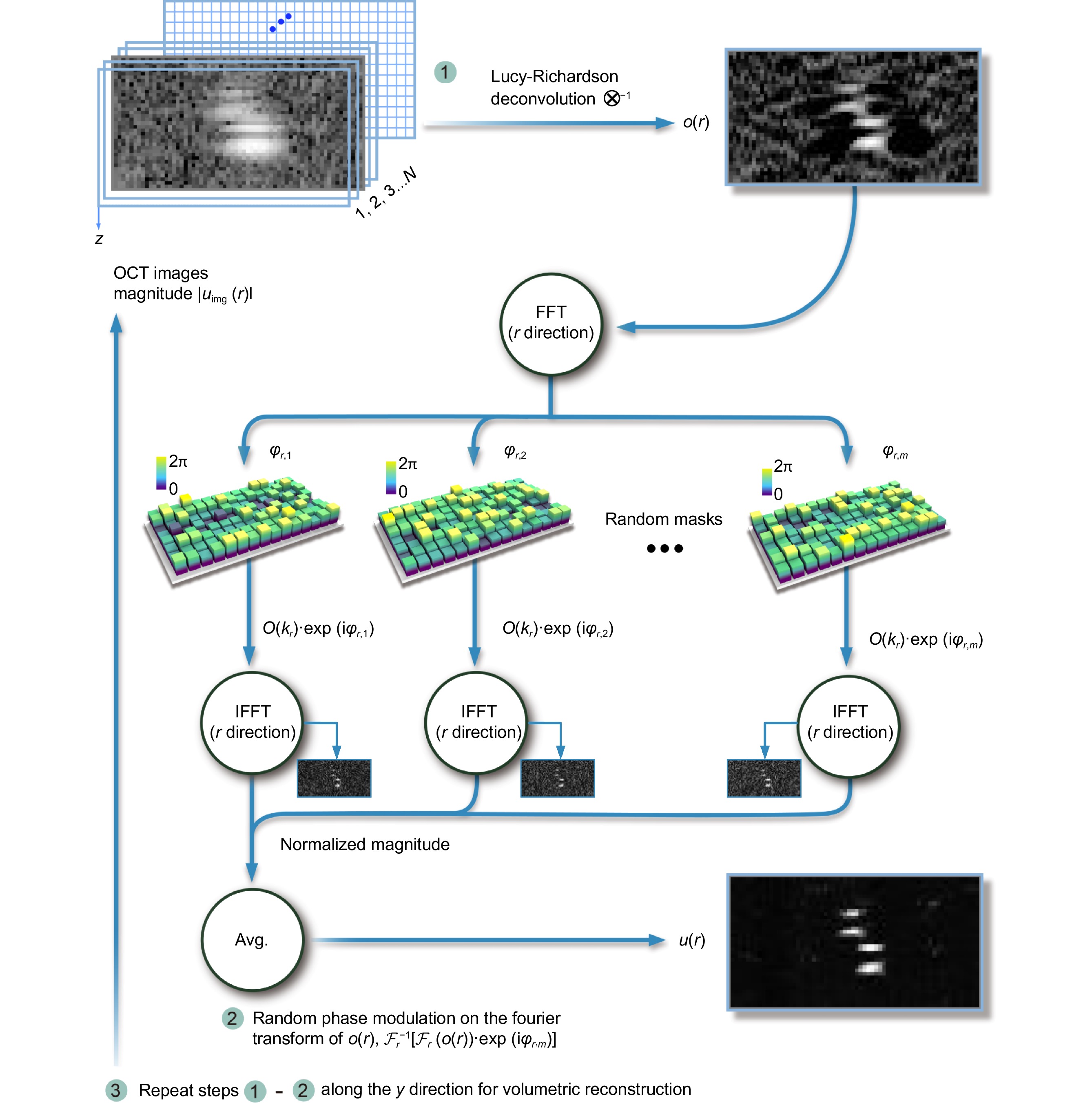 Deblurring, artifact-free optical coherence tomography with deconvolution-random phase modulation_3