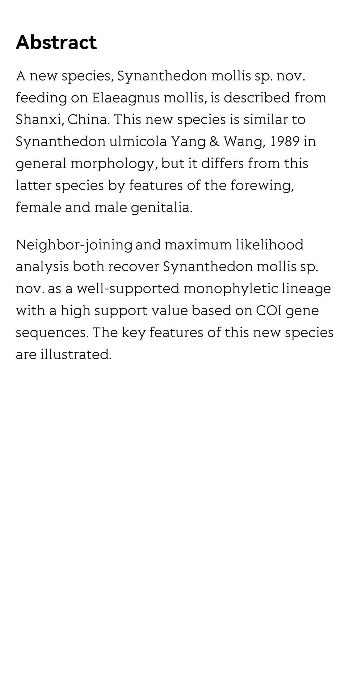 A new species in the genus Synanthedon (Lepidoptera: Sesiidae) from China_2