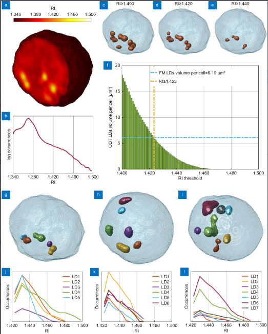 3D imaging lipidometry in single cell by in-flow holographic tomography_4