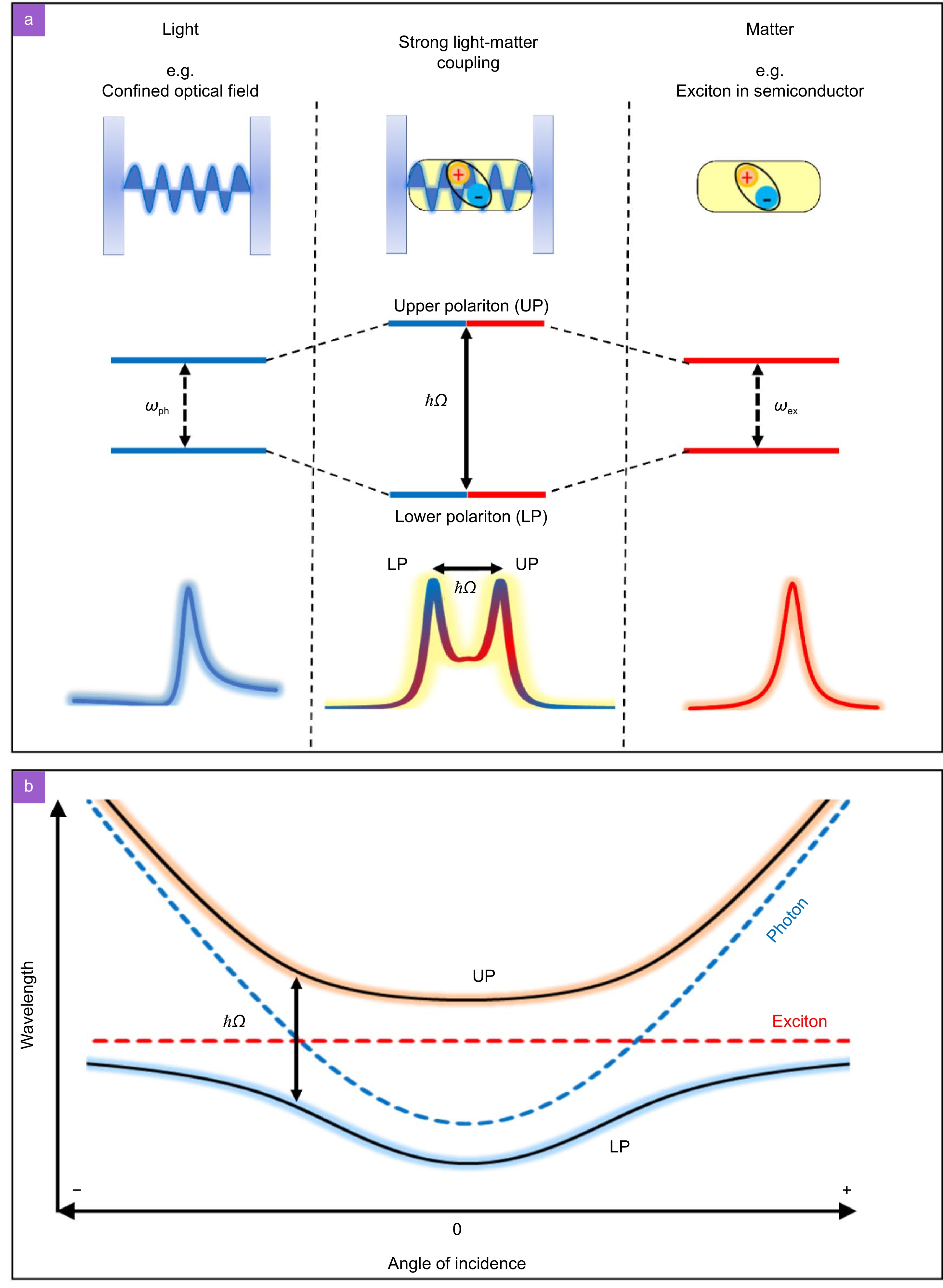 Recent advances in exciton-polariton in perovskite_3