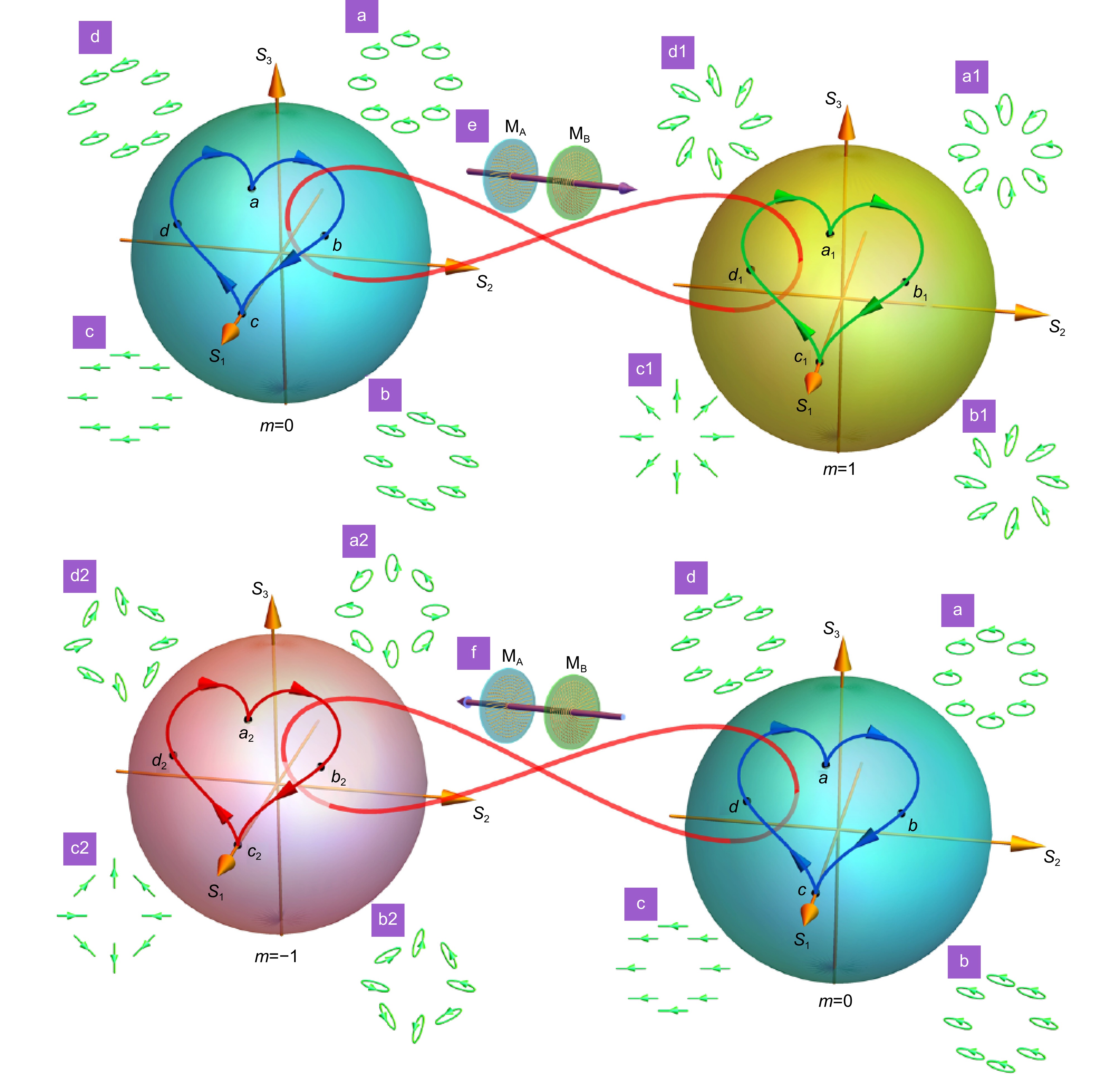 Noncommutative metasurfaces enabled diverse quantum path entanglement of structured photons_4