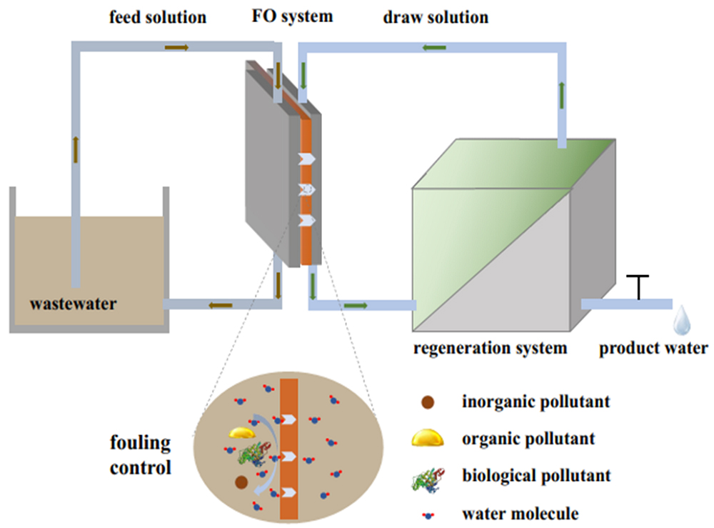 A review on the forward osmosis applications and fouling control strategies for wastewater treatment_3