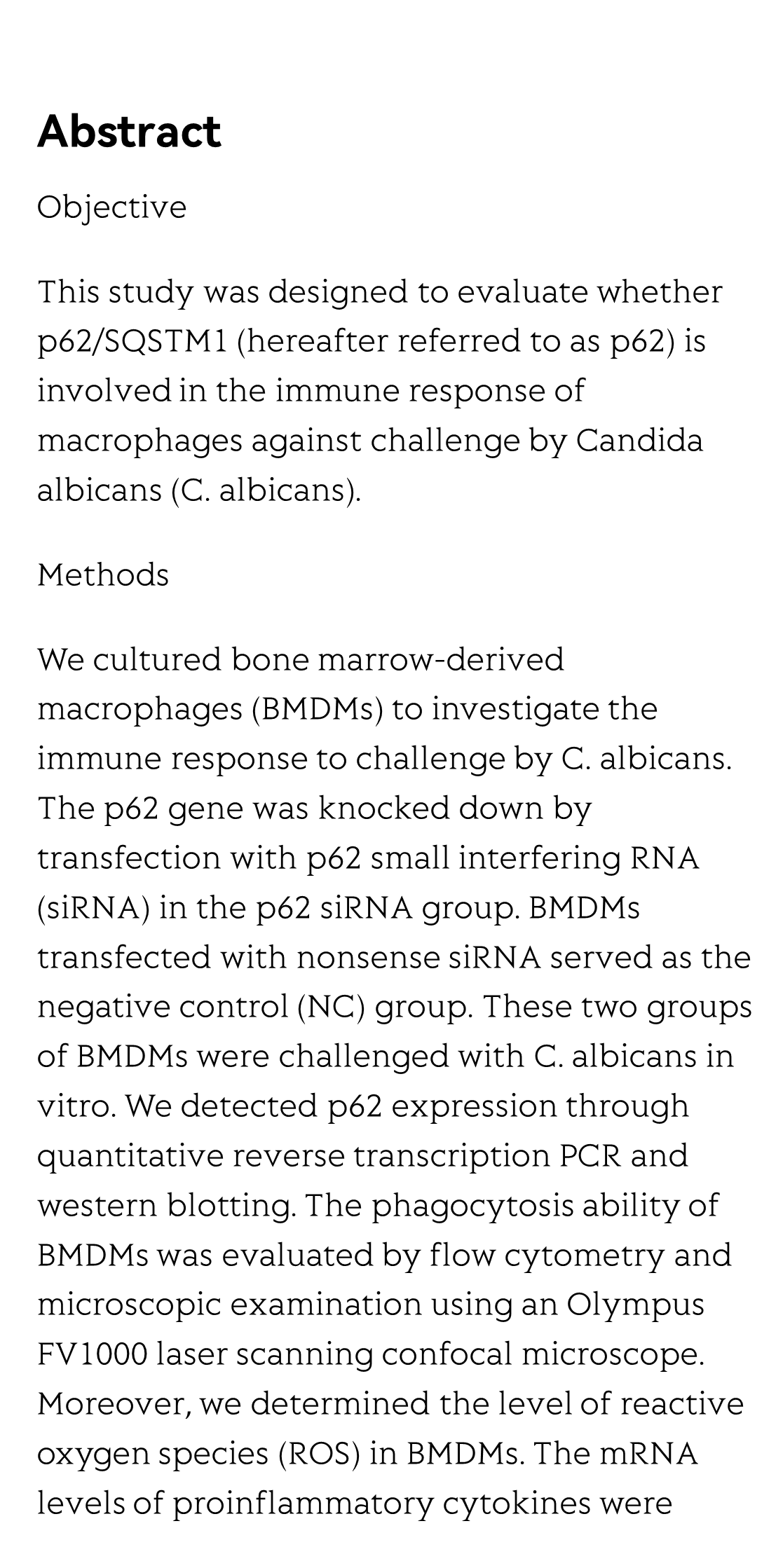 p62/SQSTM1 Participates in the Innate Immune Response of Macrophages Against Candida albicans Infection_2
