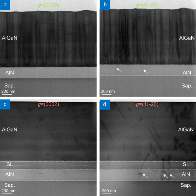 Rapid inactivation of human respiratory RNA viruses by deep ultraviolet irradiation from light-emitting diodes on a high-temperature-annealed AlN/Sapphire template_4