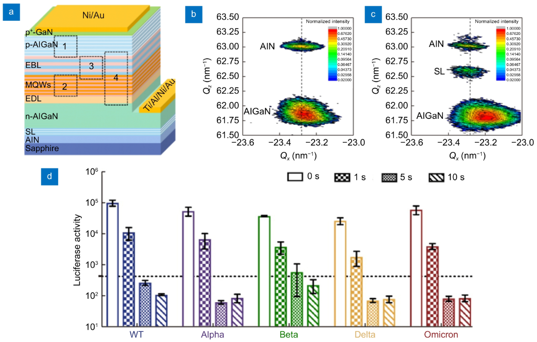 Recent developments in deep-ultraviolet sterilization of human respiratory RNA viruses_3