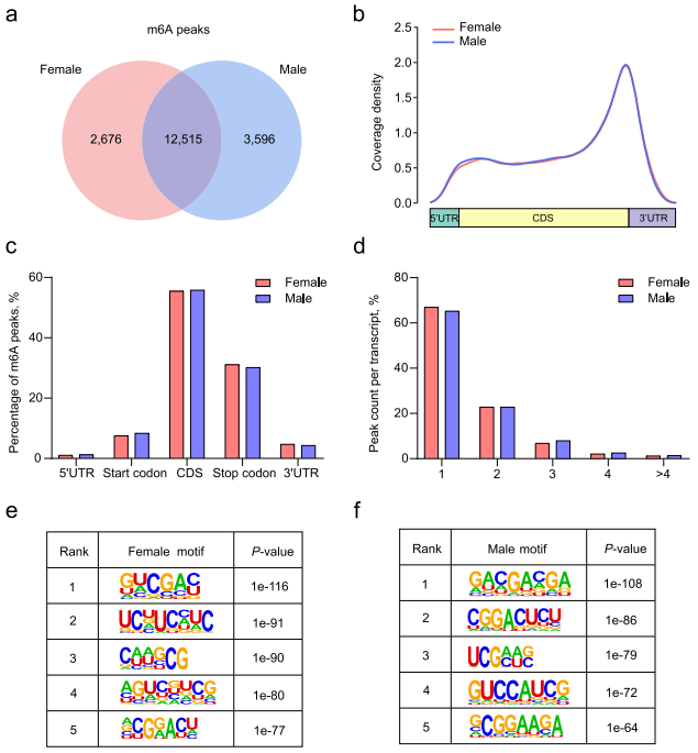 The m6A methylation regulates gonadal sex differentiation in chicken embryo_4