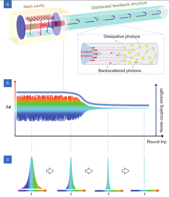 Ultra-high spectral purity laser derived from weak external distributed perturbation_4