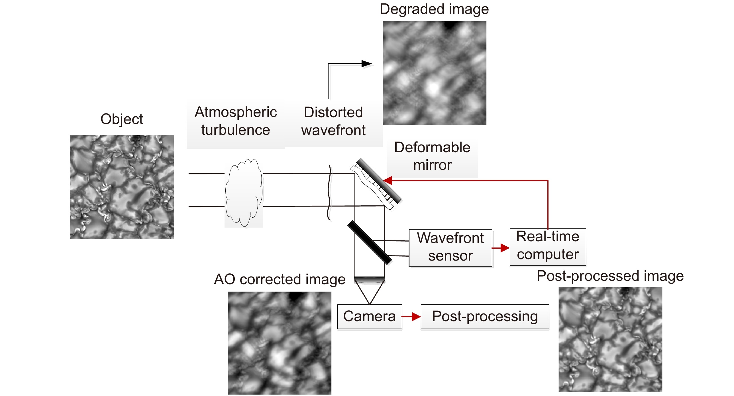 Adaptive optics based on machine learning: a review_3