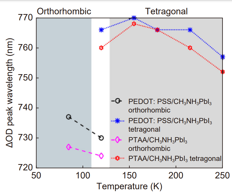 Charge carrier dynamics in different crystal phases of CH₃NH₃PbI₃ perovskite_4