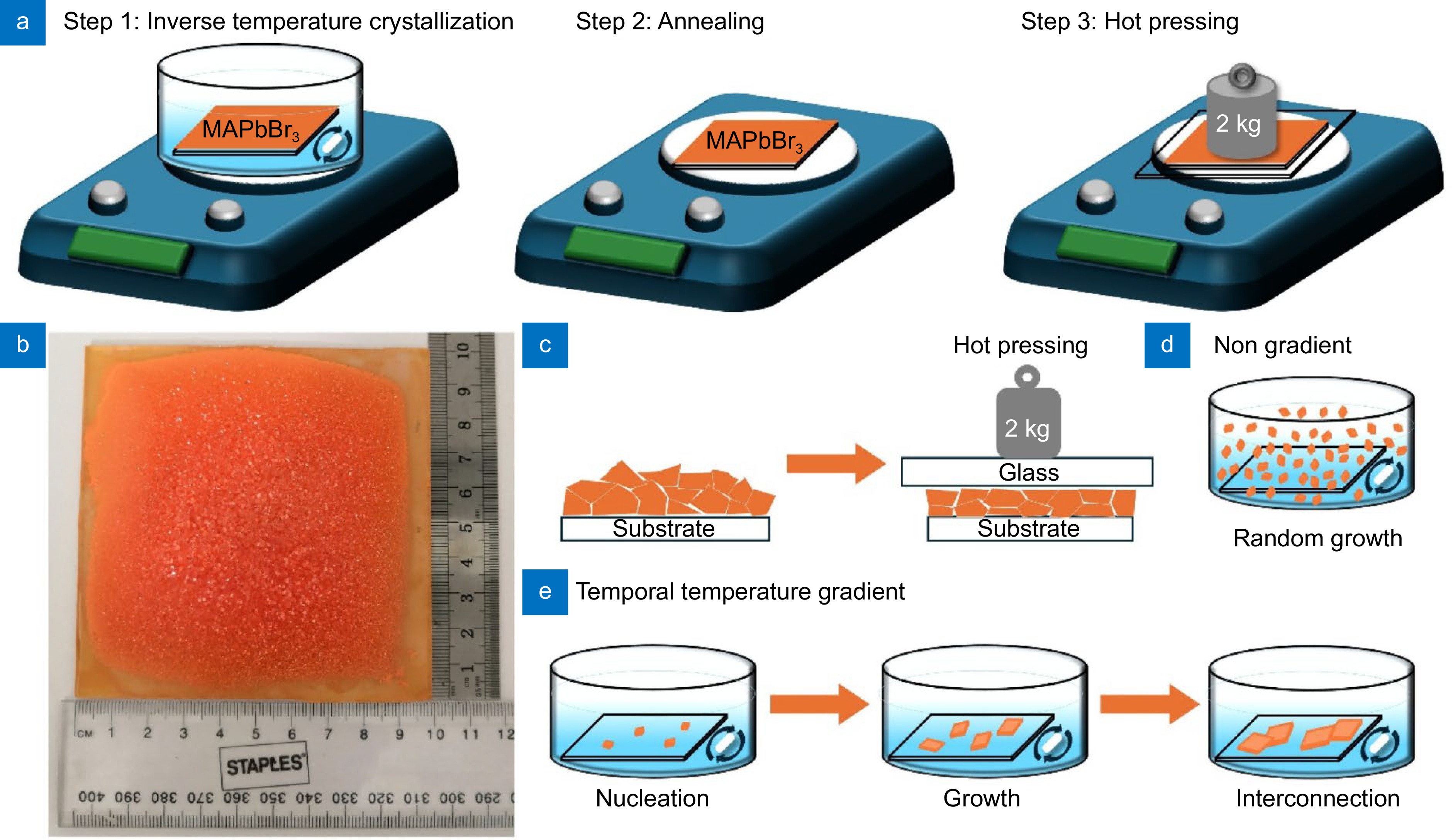 Highly textured single-crystal-like perovskite films for large-area, high-performance photodiodes_4