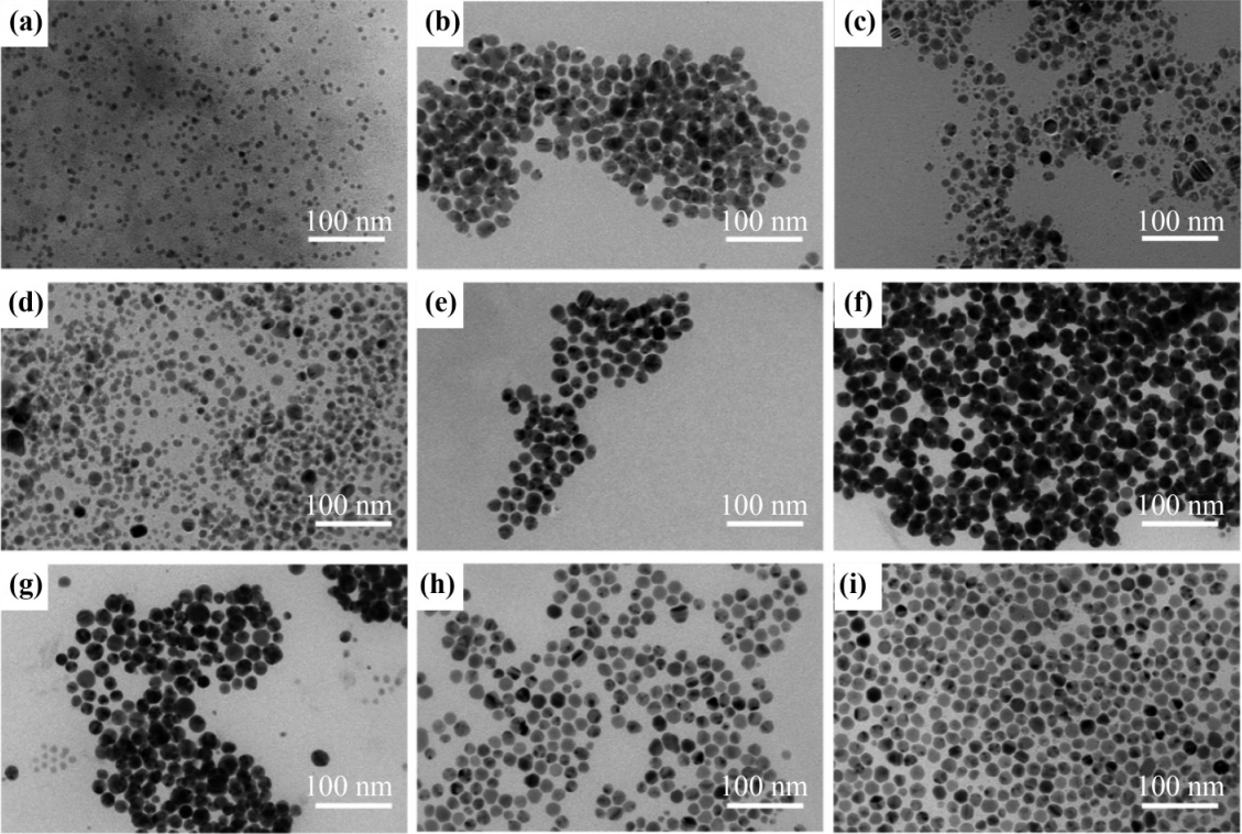Antimicrobial power of biosynthesized Ag nanoparticles using refined Ginkgo biloba leaf extracts_3