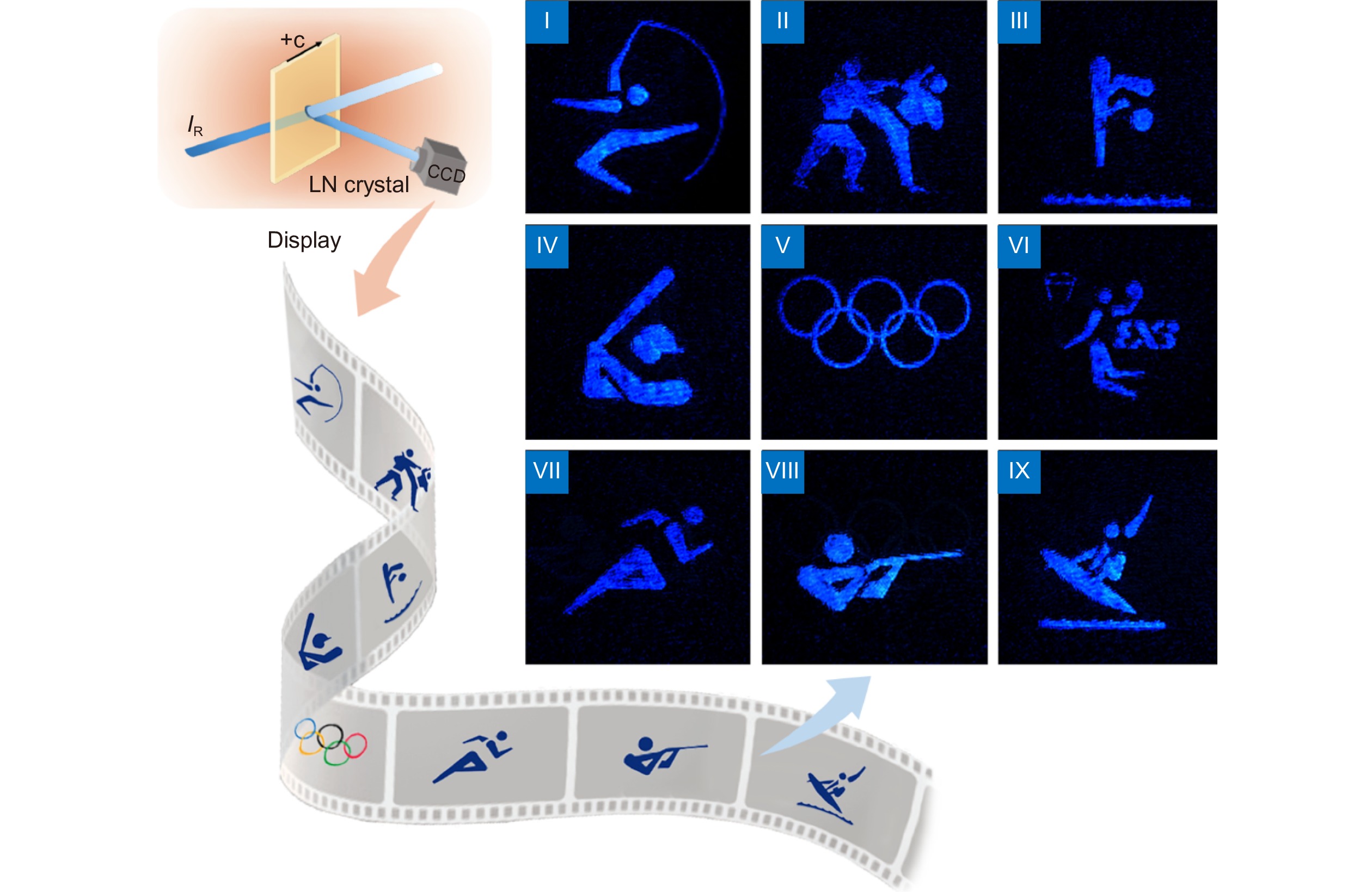 The real-time dynamic holographic display of LN:Bi,Mg crystals and defect-related electron mobility_3