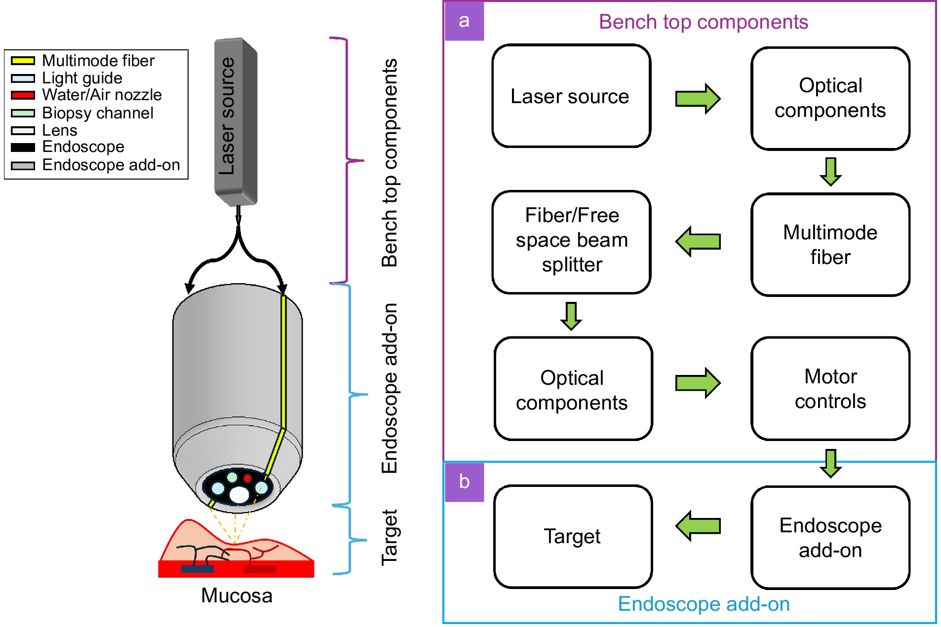 Design, setup, and facilitation of the speckle structured illumination endoscopic system_4