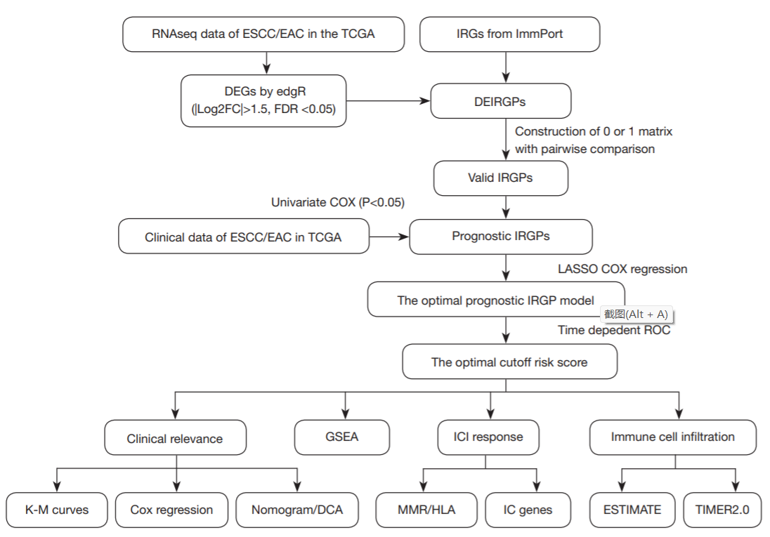 Development of immune gene pair-based signature predictive of prognosis and immunotherapy in esophageal cancer_5