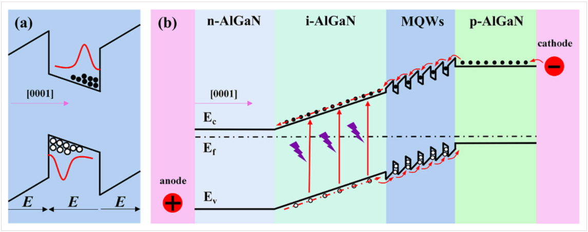 Multiple-quantum-well-induced unipolar carrier transport multiplication in AlGaN solar-blind ultraviolet photodiode_4