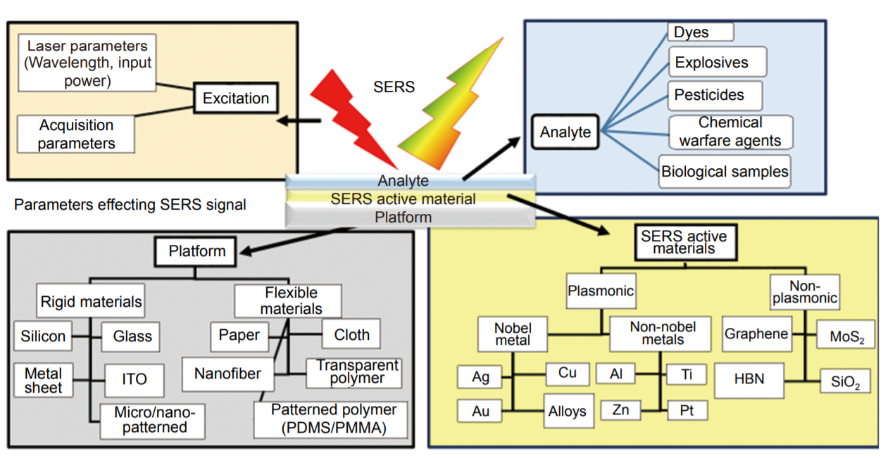 Flexible SERS substrates for hazardous materials detection: recent advances_3