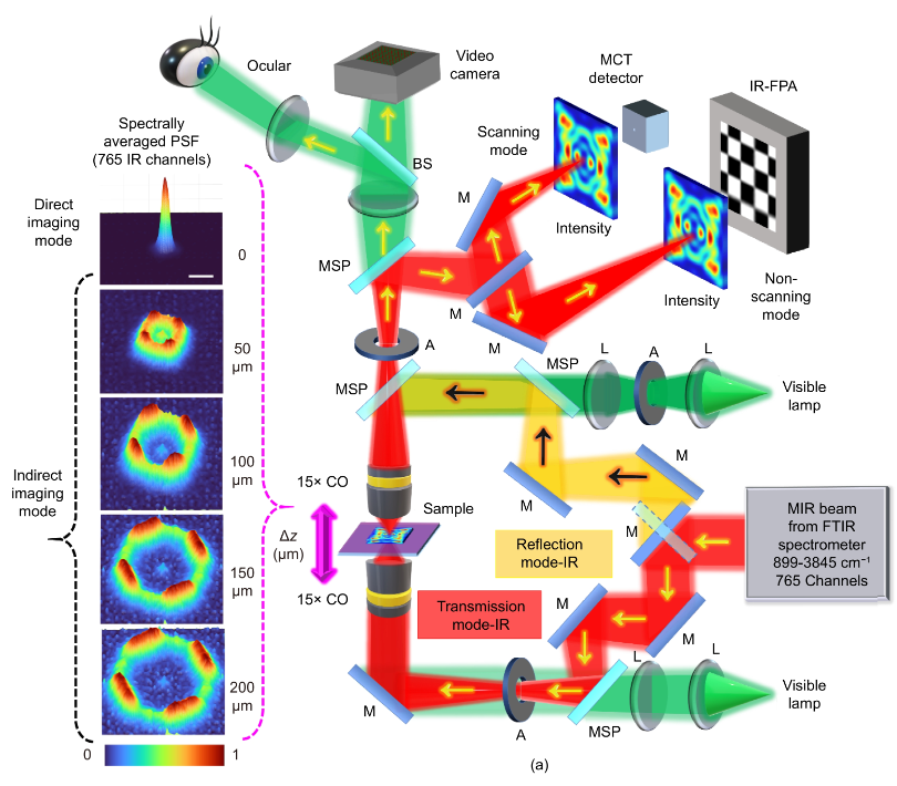 Adding dimensions with Lucy–Richardson–Rosen algorithm to incoherent imaging_3