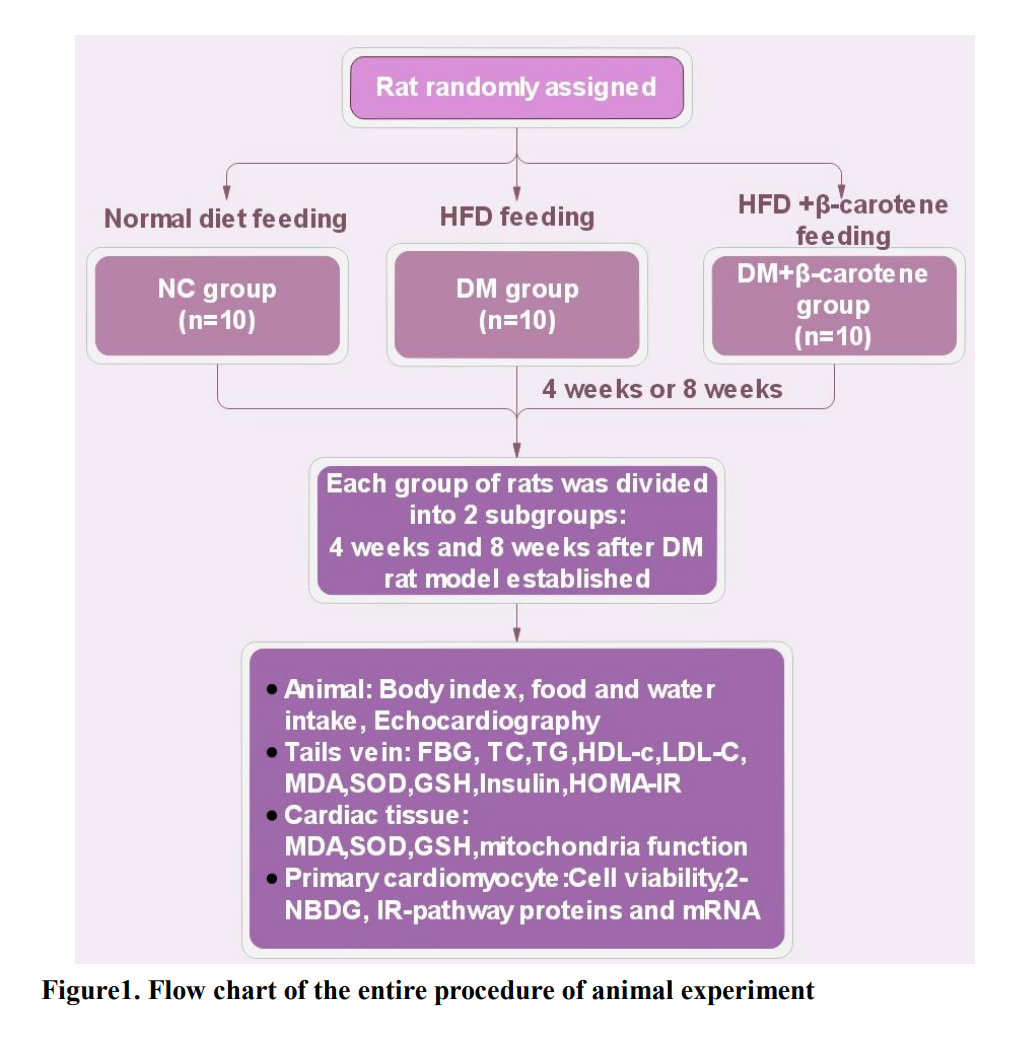 Effects of β-carotene on glucose metabolism dysfunction in human subjects and type 2 diabetic rats_4