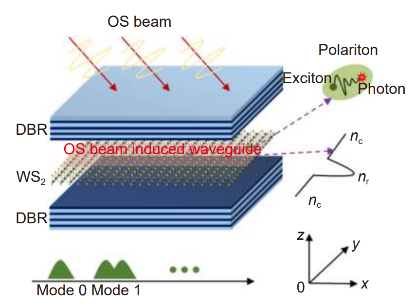 Exciton-polariton based WS2 polarization modulator controlled by optical Stark beam_3