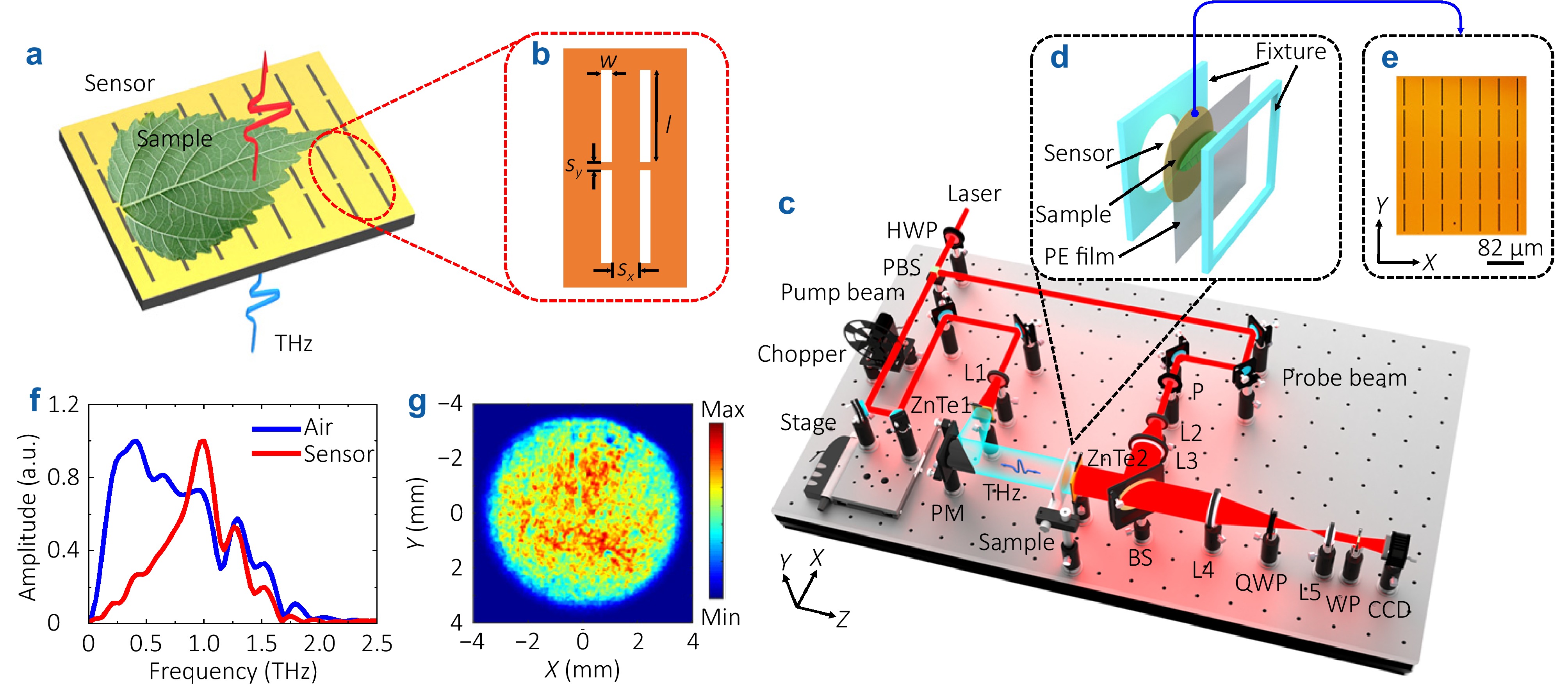 Biological testing with terahertz focal-plane imaging based on a slot metamaterial sensor_3