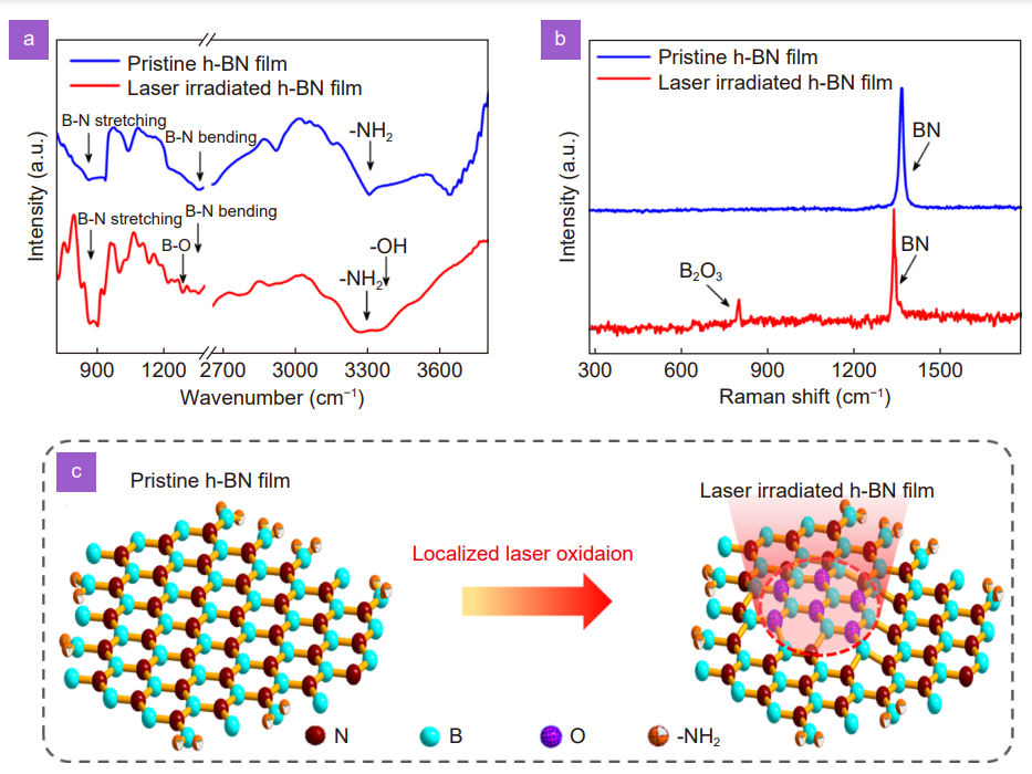 Giant and light modifiable third-order optical nonlinearity in a free-standing h-BN film_4