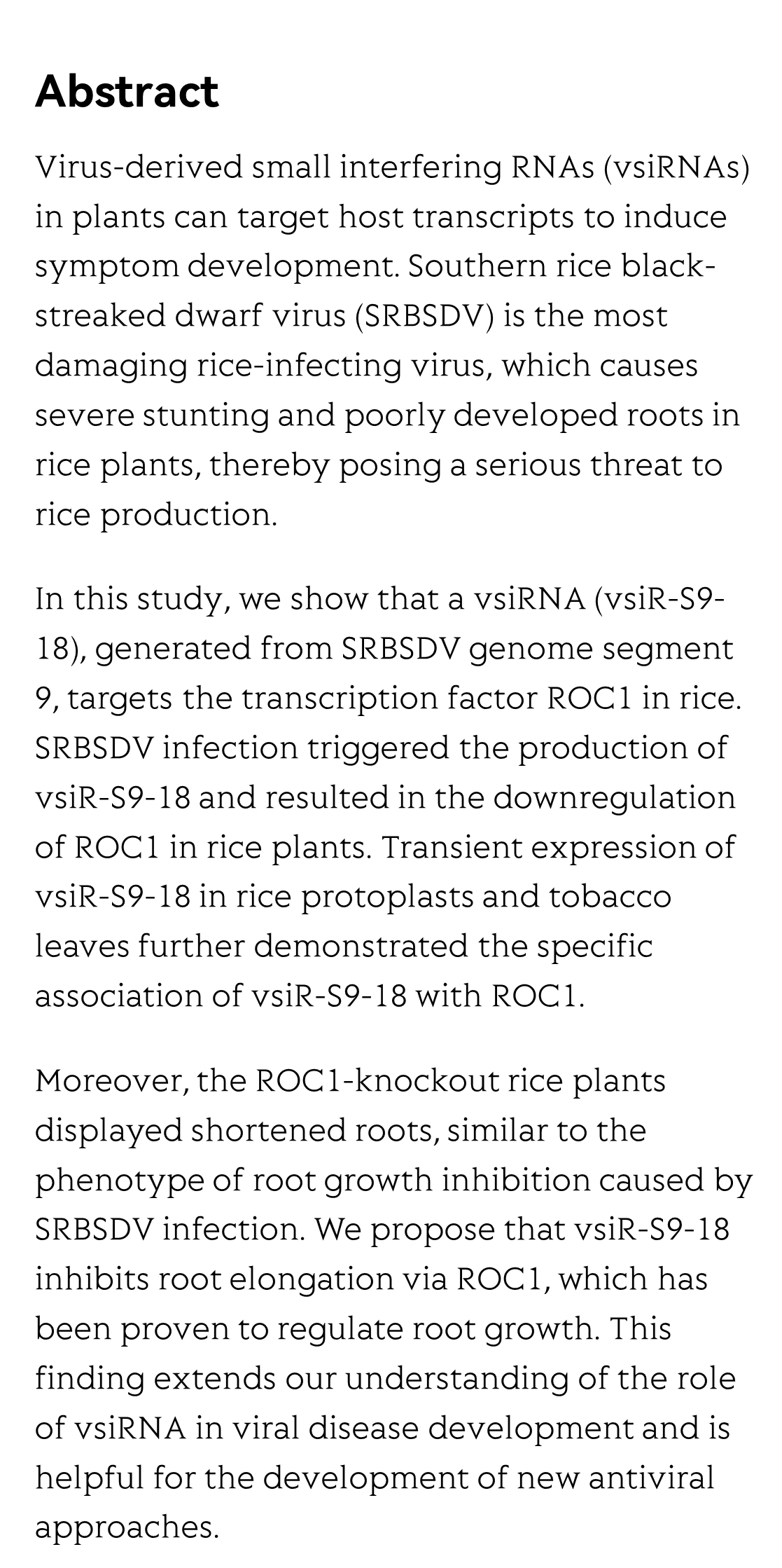 A virus-derived small RNA targets the rice transcription factor ROC1 to induce disease-like symptom_2