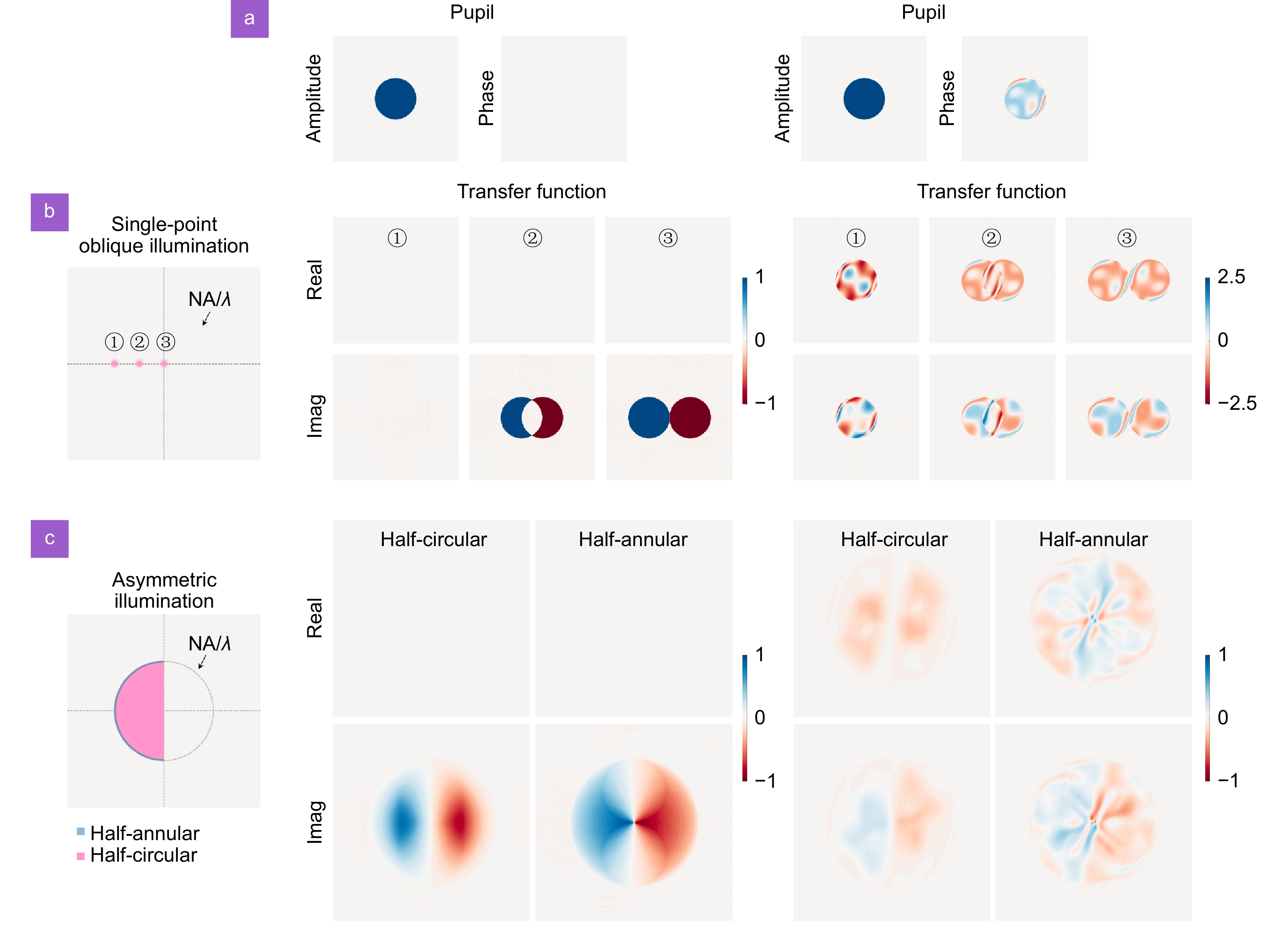Aberration-corrected differential phase contrast microscopy with annular illuminations_4