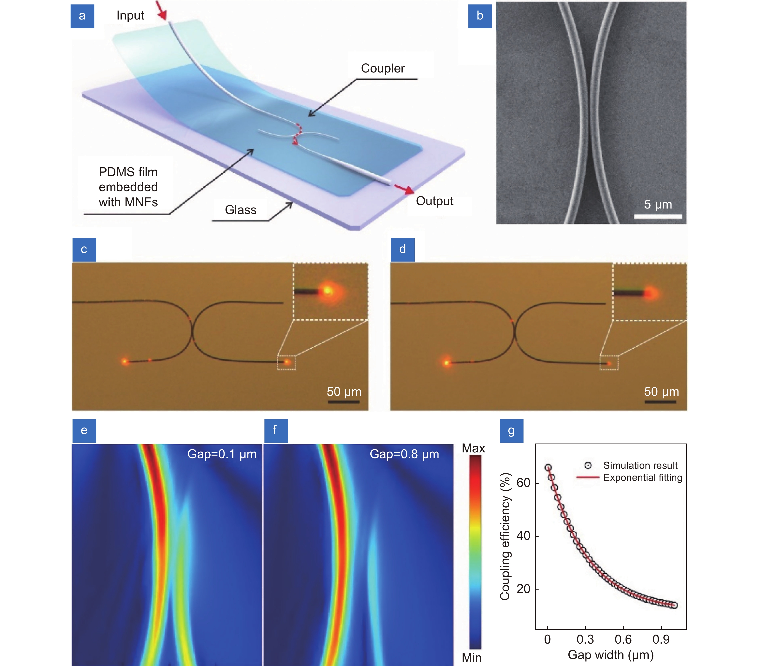 Highly sensitive and fast response strain sensor based on evanescently coupled micro/nanofibers_3