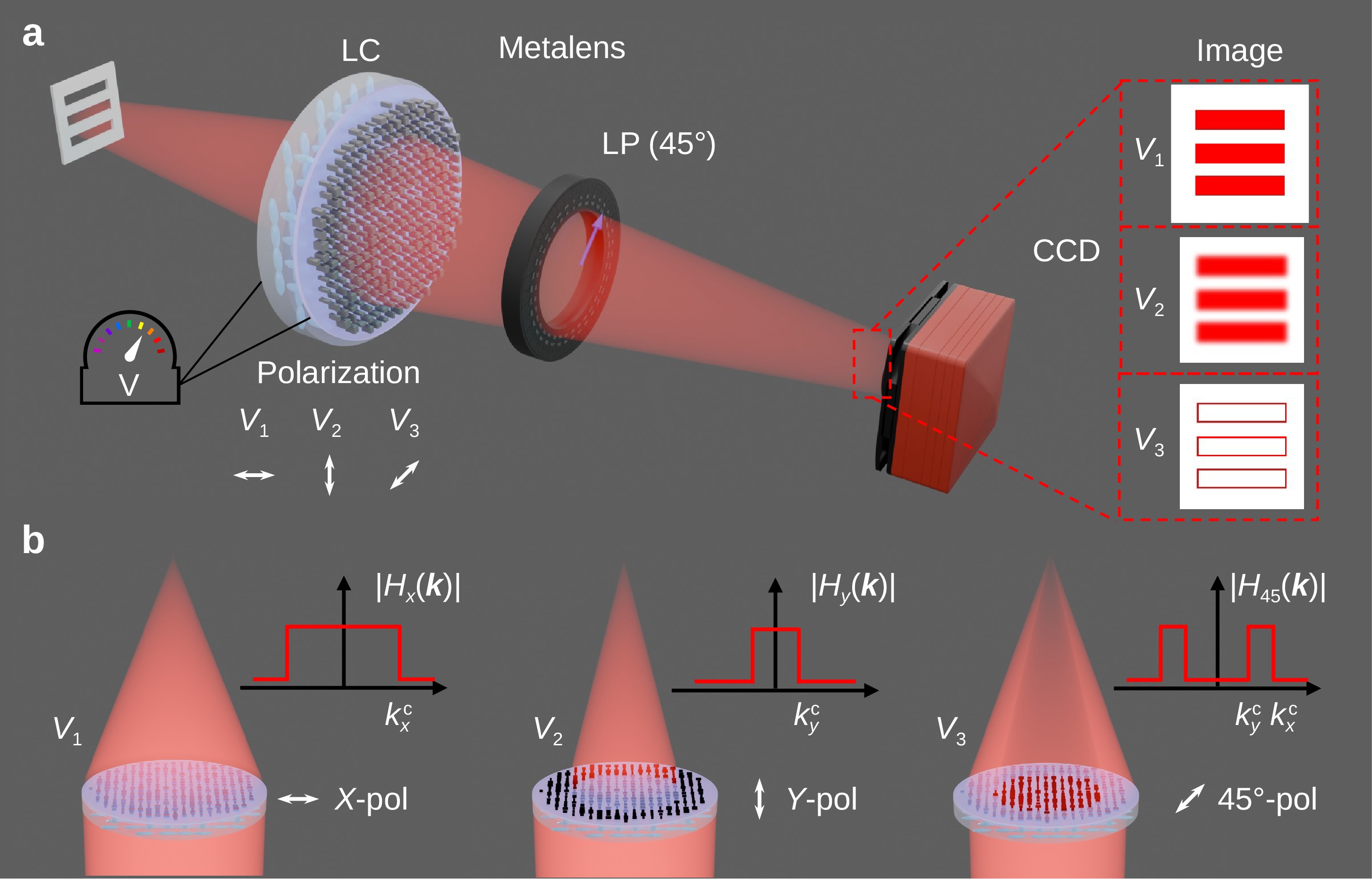 Electrically switchable bright-field and interference-synthesized edge-enhanced imaging with a polarization-multiplexed metalens_4