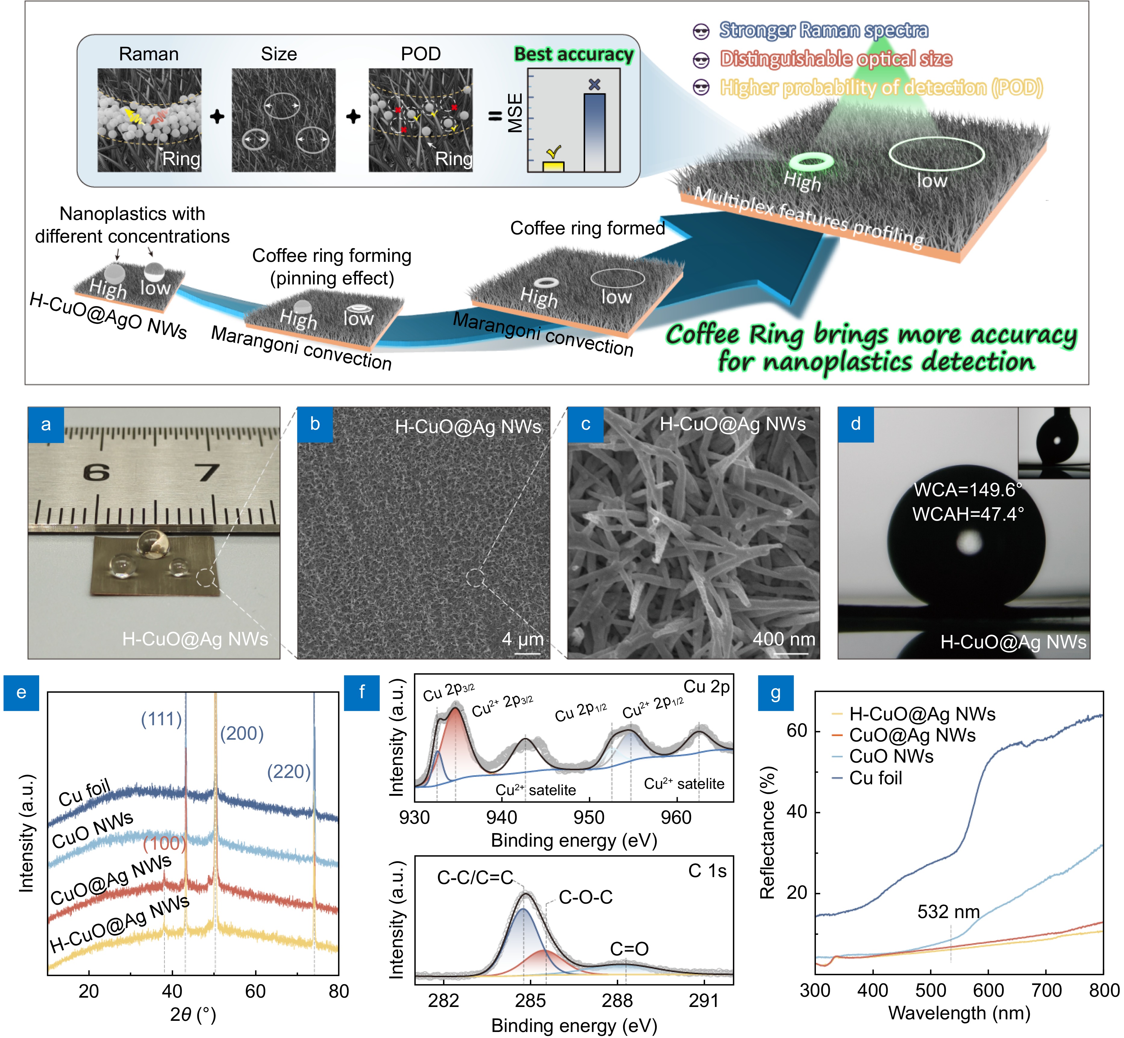 Quantitative detection of trace nanoplastics (down to 50 nm) via surface-enhanced raman scattering based on the multiplex-feature coffee ring_4