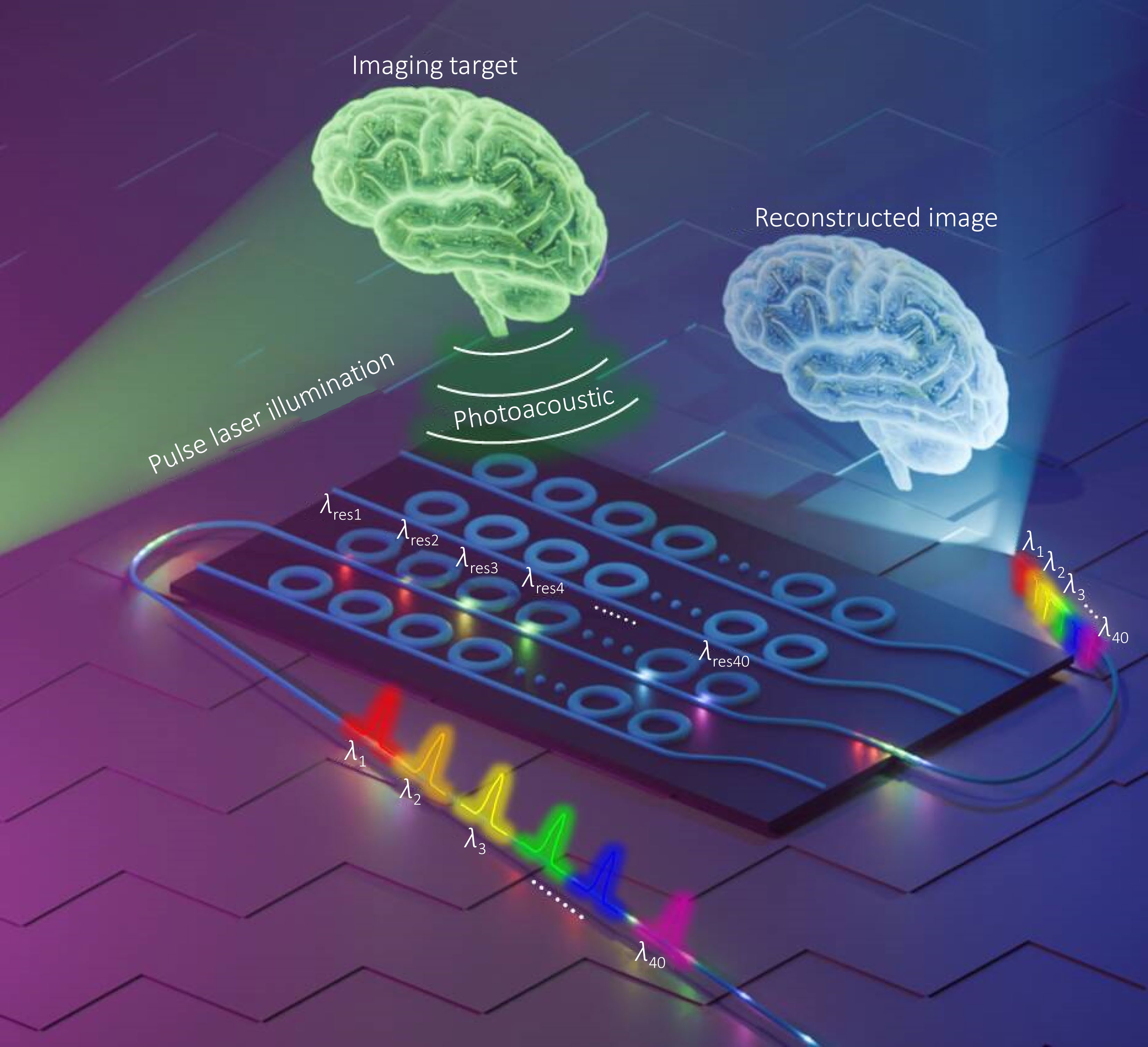 Imprinted high-Q polymer micro-ring resonator array for high-resolution photoacoustic tomography_4