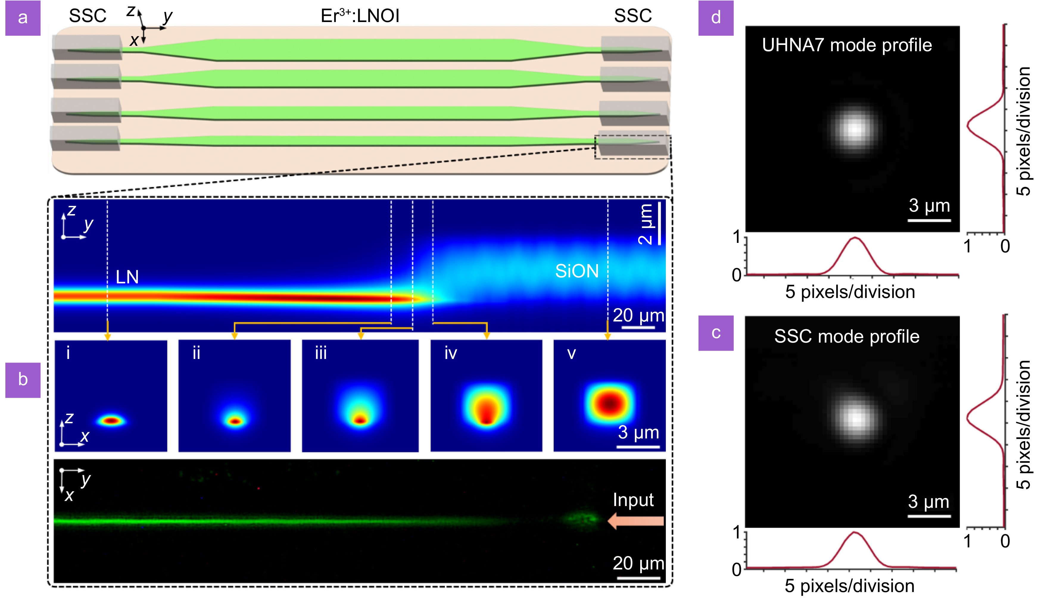High fiber-to-fiber net gain in erbium-doped thin film lithium niobate waveguide amplifier as an external gain chip_3