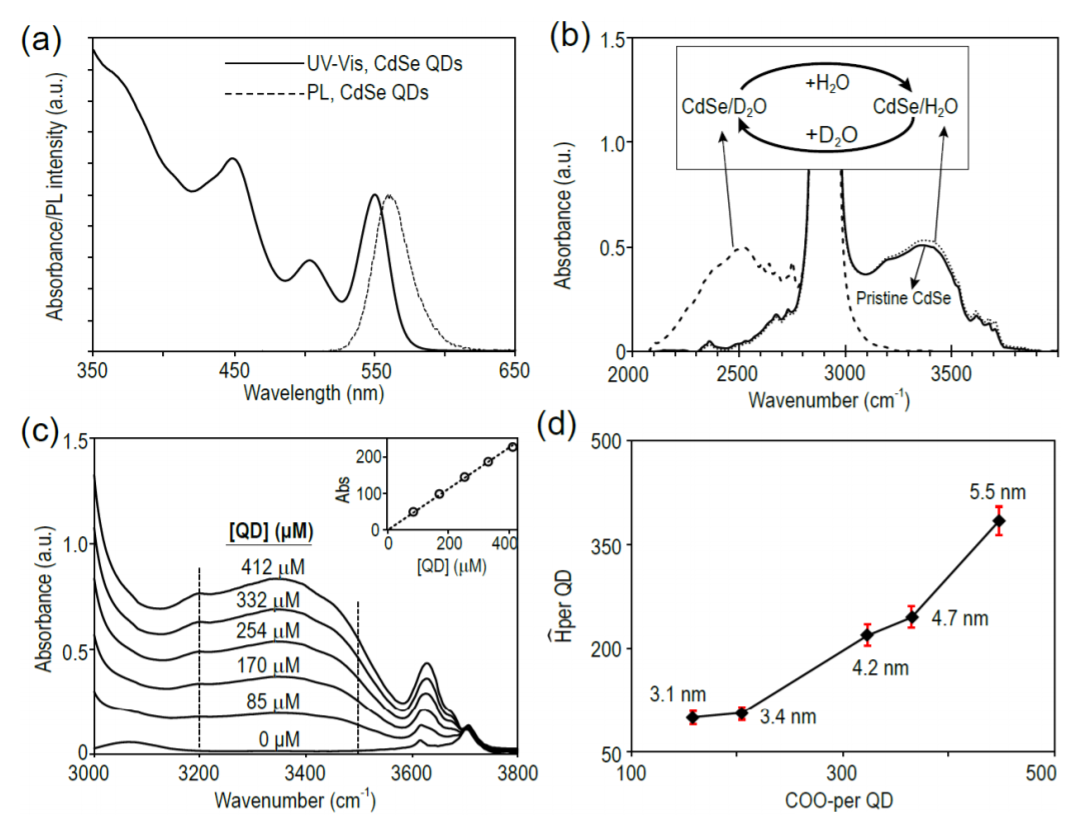 Water molecules bonded to the carboxylate groups at the inorganic-organic interface of an inorganic nanocrystal coated with alkanoate ligands_4