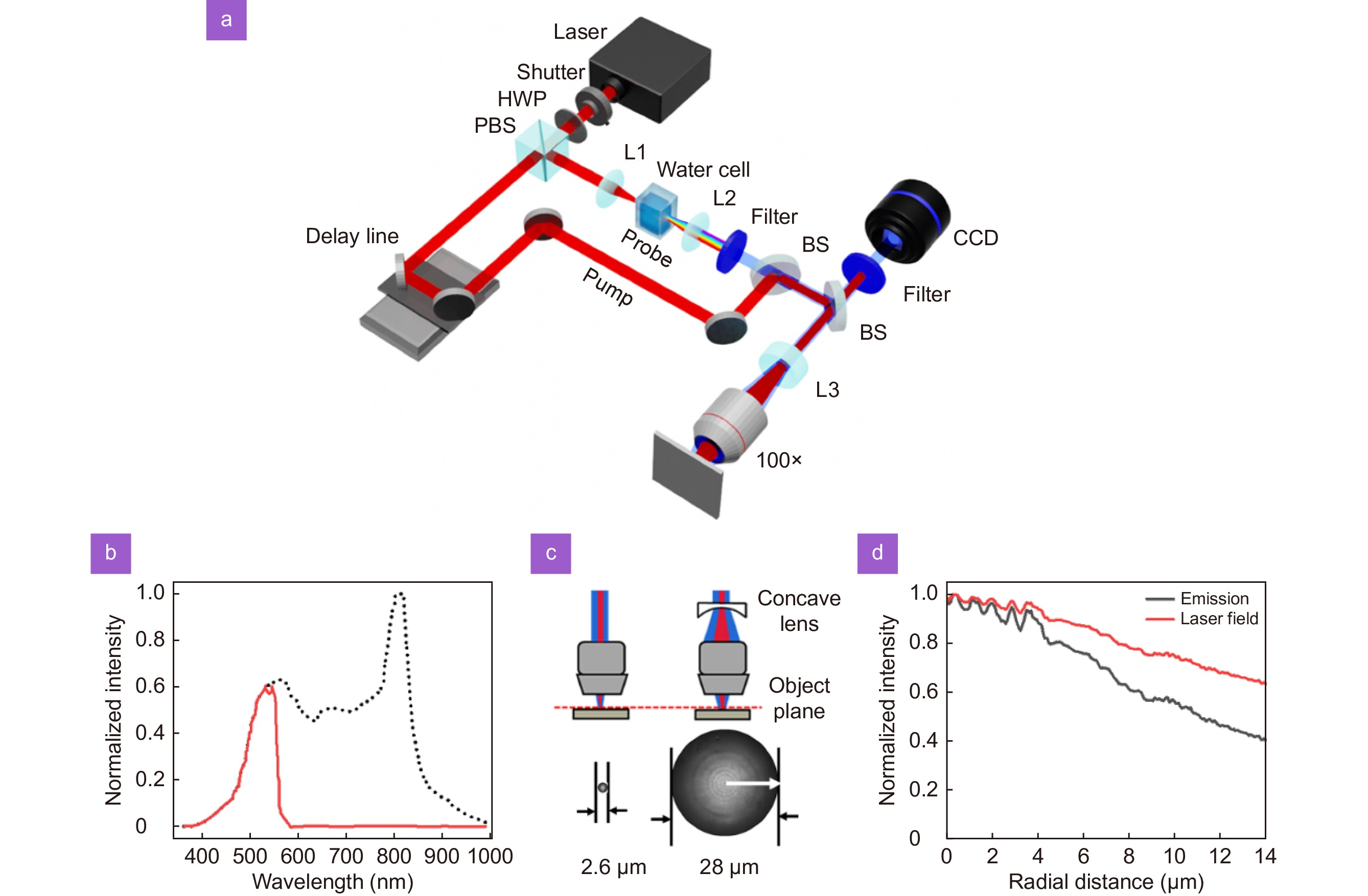 Ultrafast dynamics of femtosecond laser-induced high spatial frequency periodic structures on silicon surfaces_4